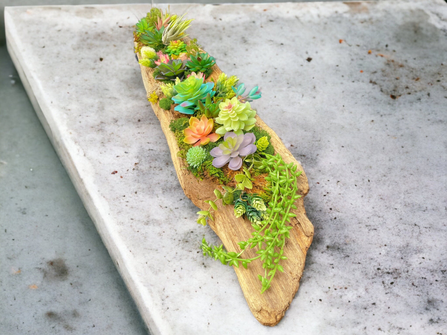 Handmade driftwood centerpiece with faux succulents and moss - rituel